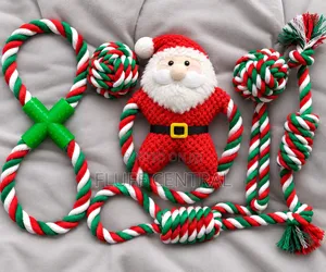 6 in 1 Set Christmas Toy