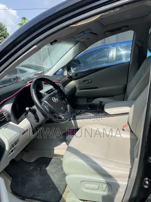 Lexus RX 2010 Black