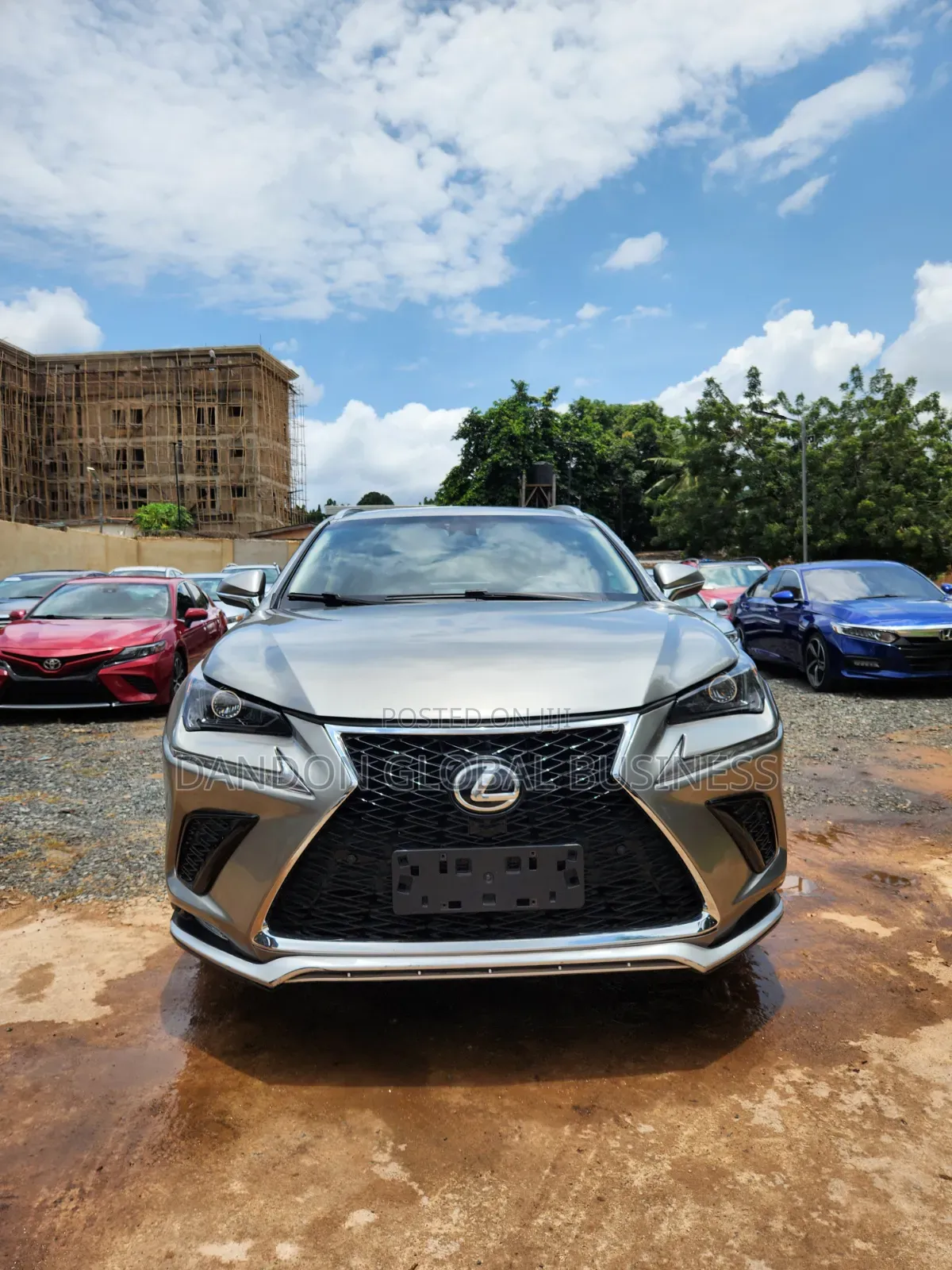 Lexus NX 2019 Gray