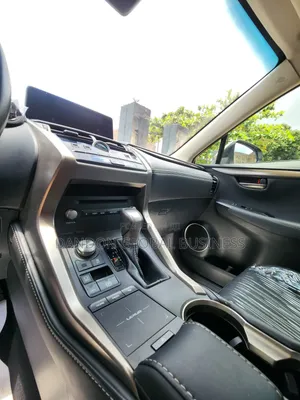 Lexus NX 2019 Gray