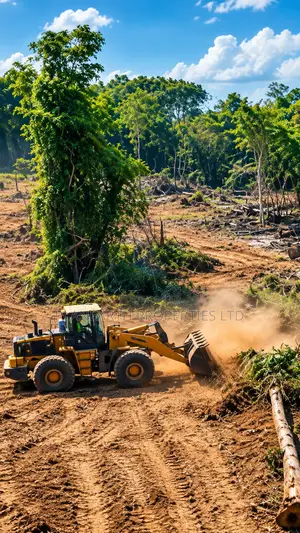 Affordable Land Off Imota, Ikorodu, Sagamu LGA