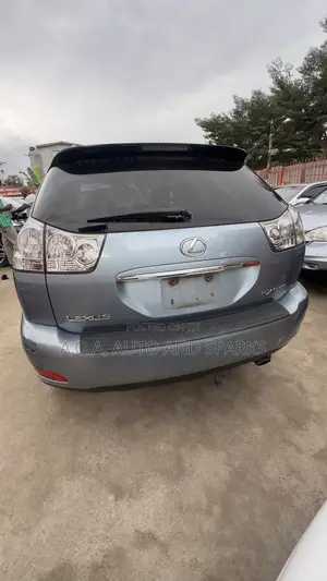 Lexus RX 2009 Blue