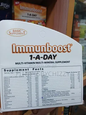 Immunboost 1-a-Day Complete Multivitamin X 90 Tablets