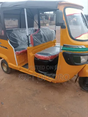Tricycle 2024 Gold