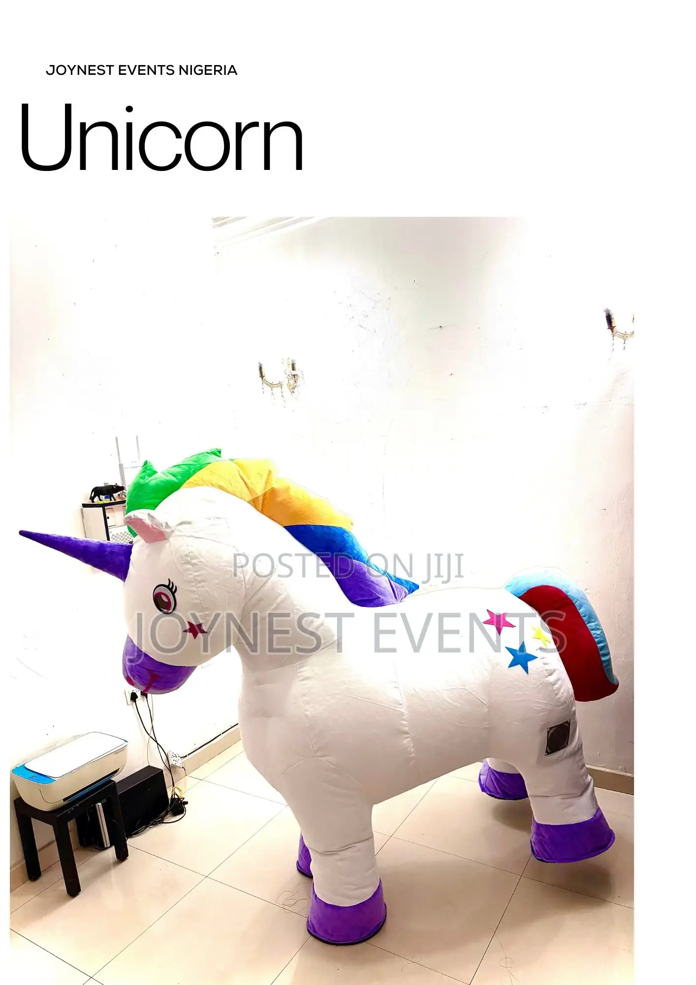Event Planning and Party Mascot