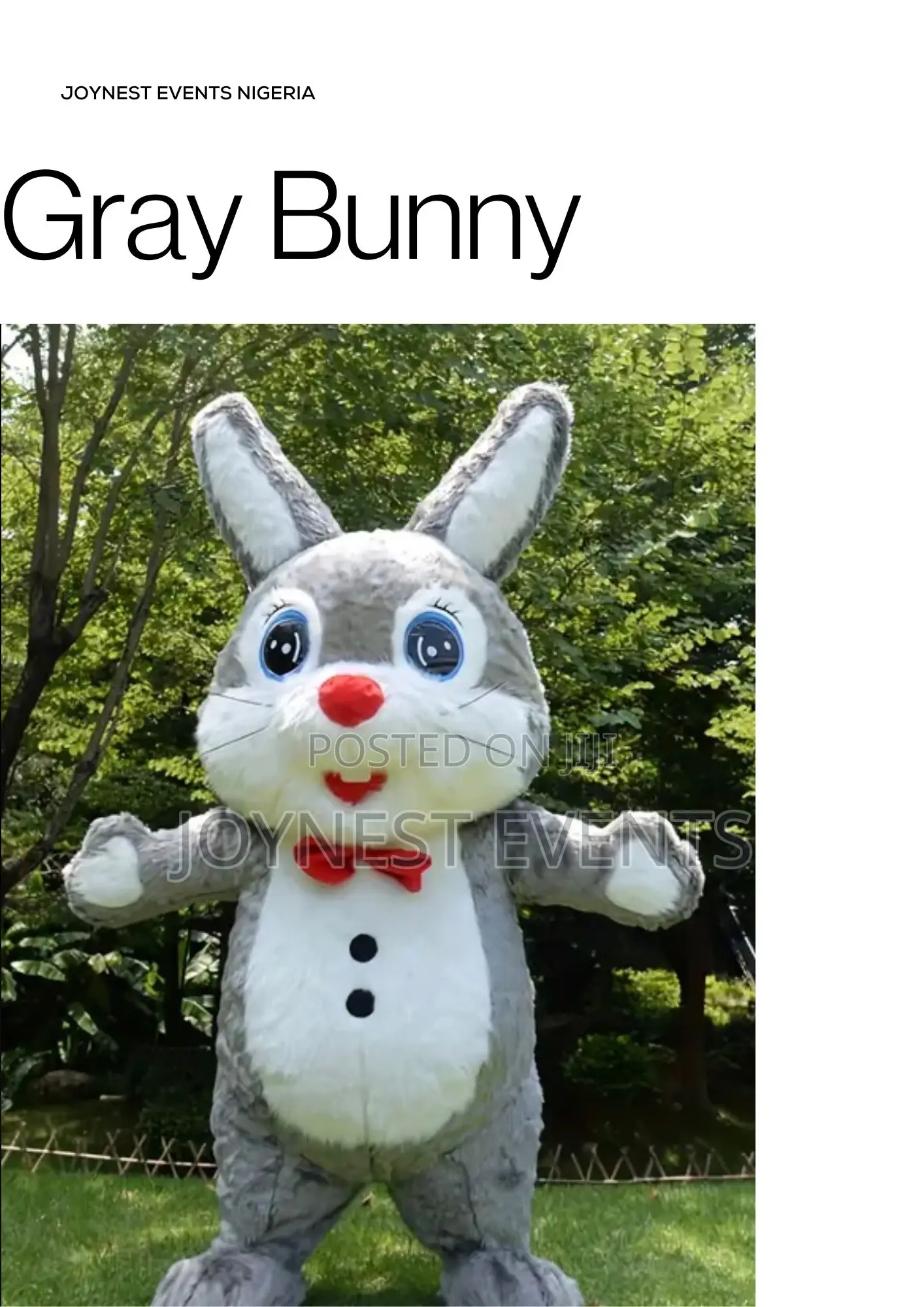Event Planning and Party Mascot