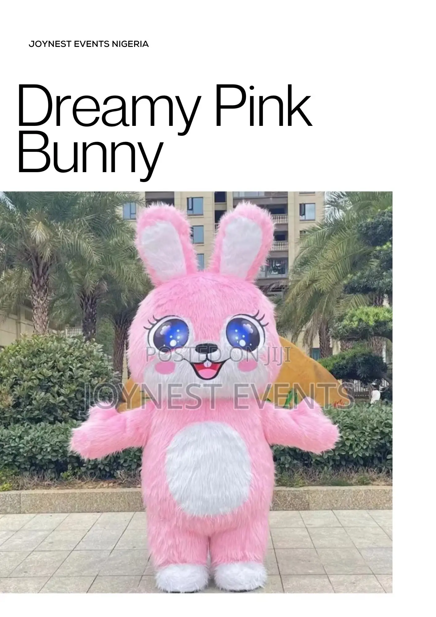 Event Planning and Party Mascot