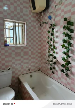 Professional Bathroom Toilet Cleaning Service.