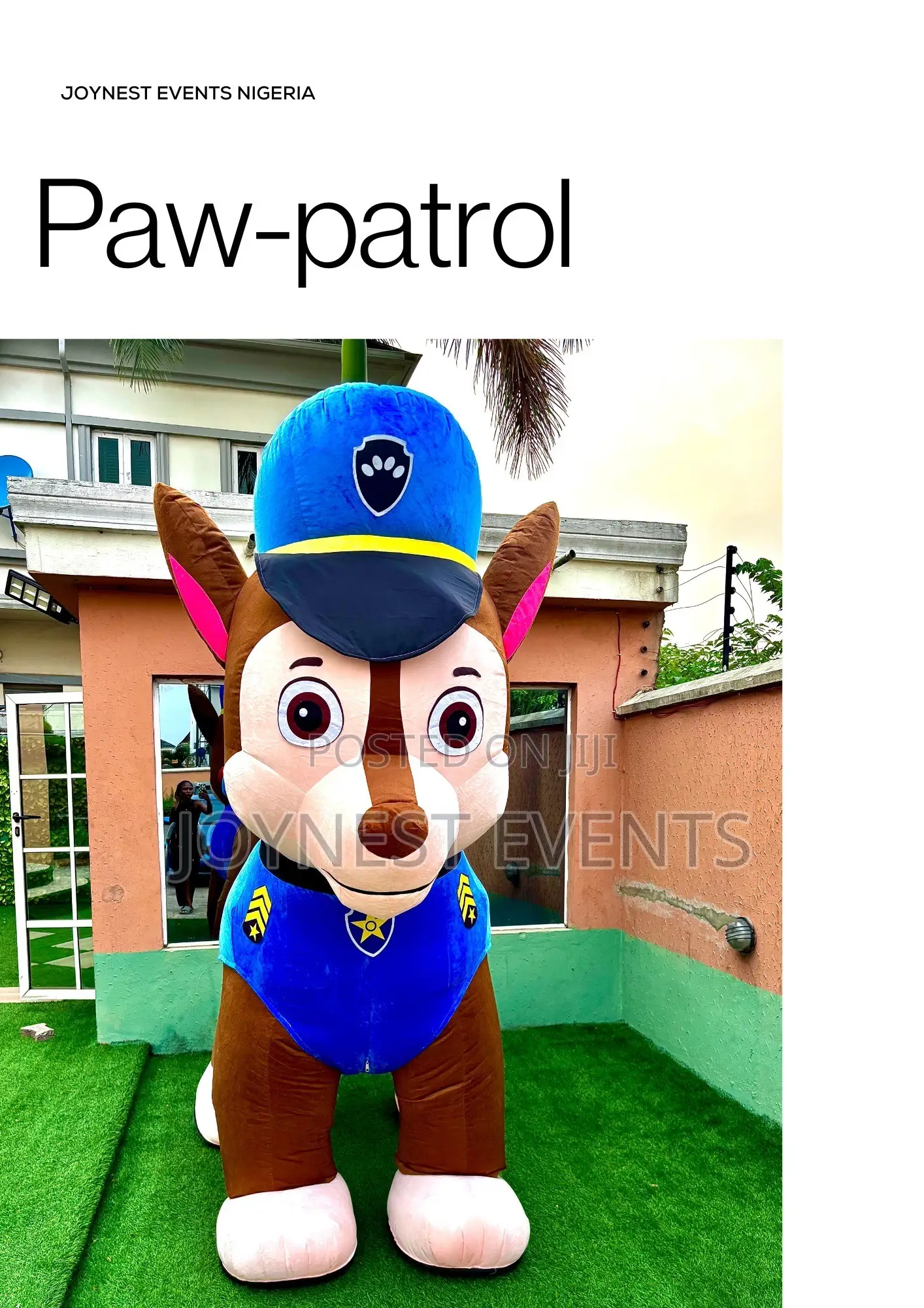 Event Planning and Party Mascot