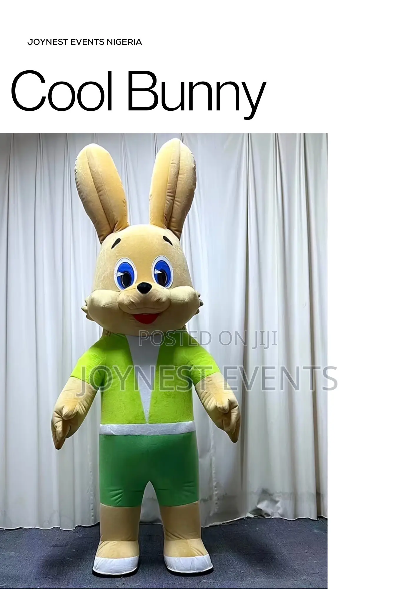 Event Planning and Party Mascot