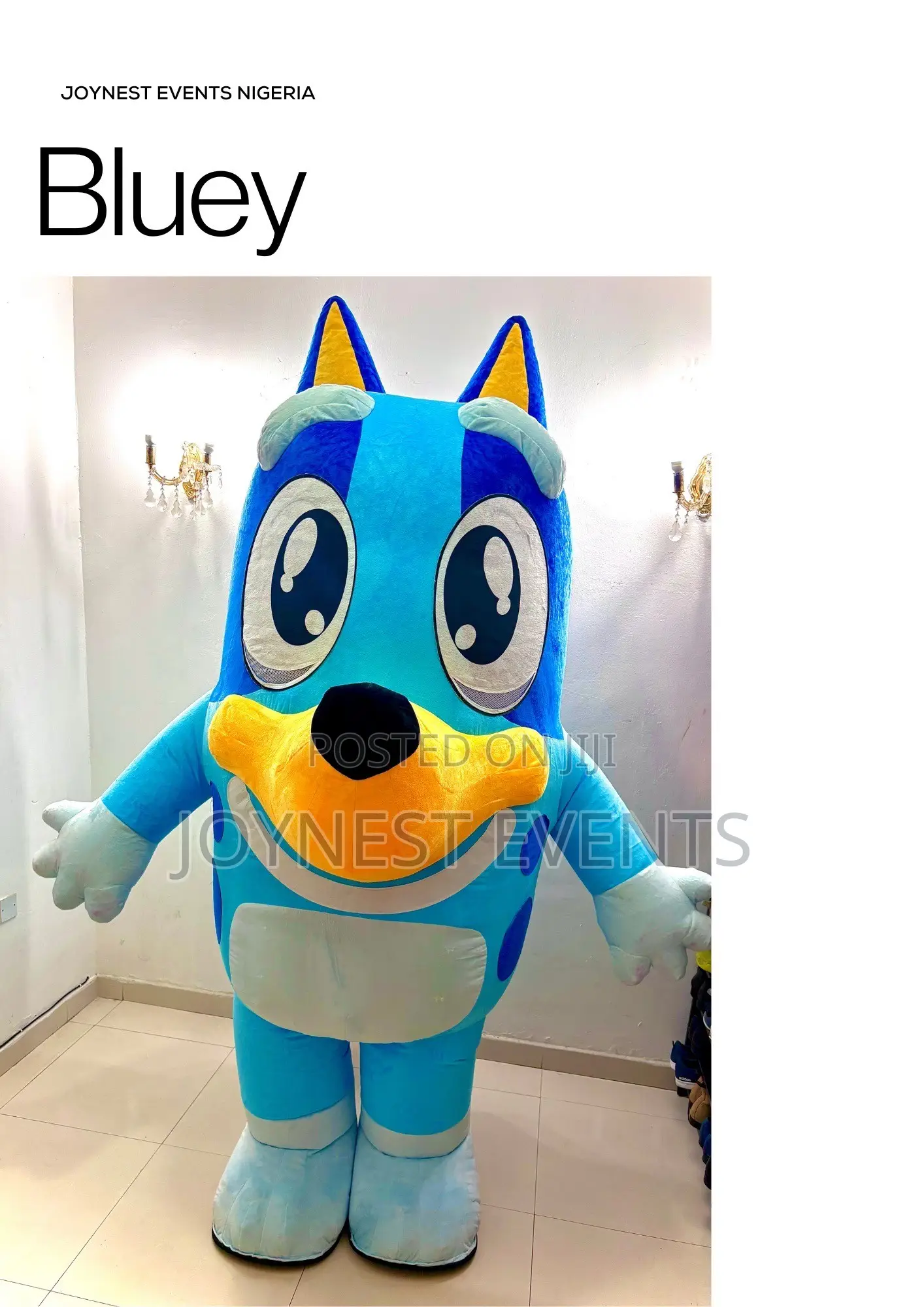 Event Planning and Party Mascot