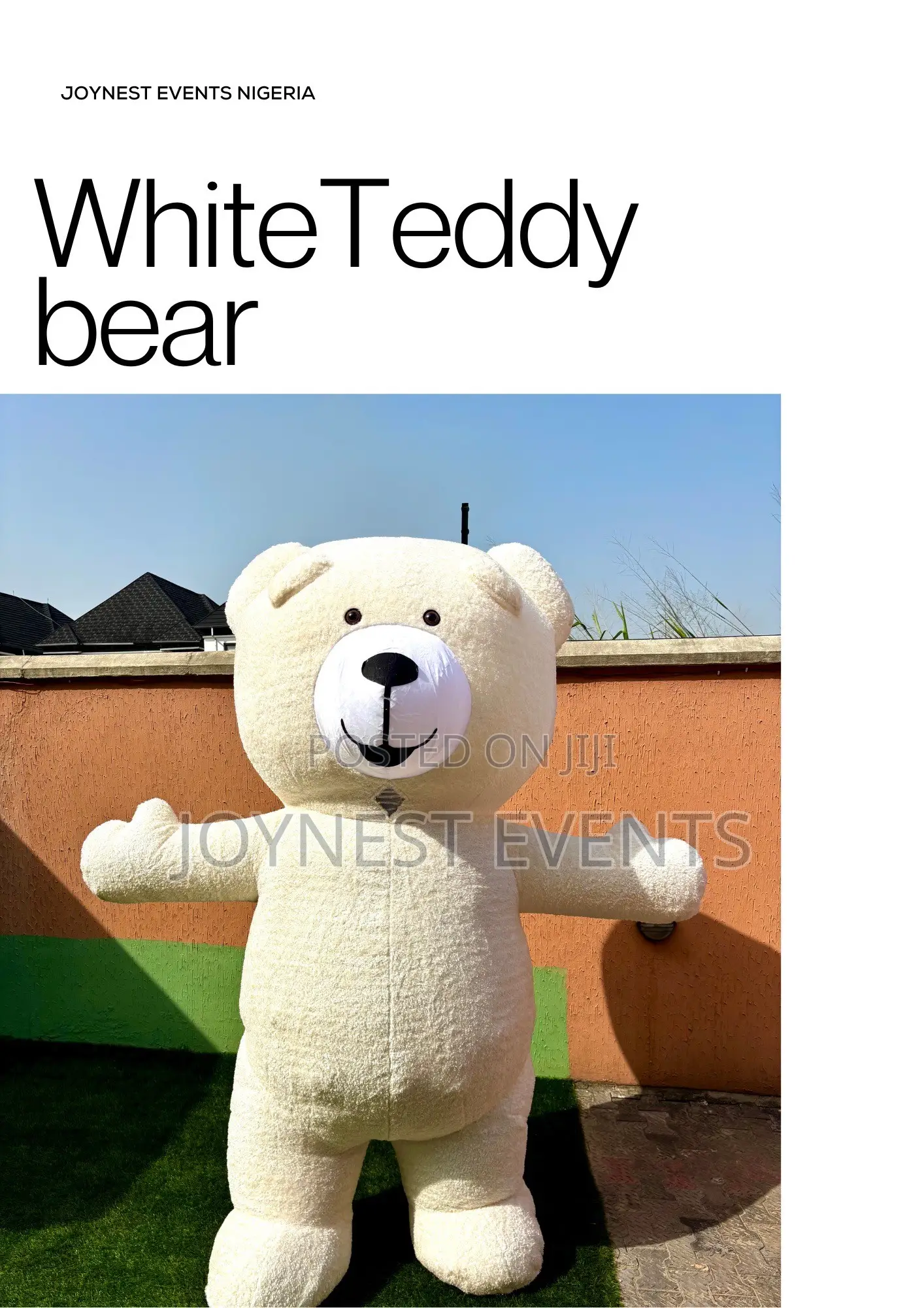 Event Planning and Party Mascot
