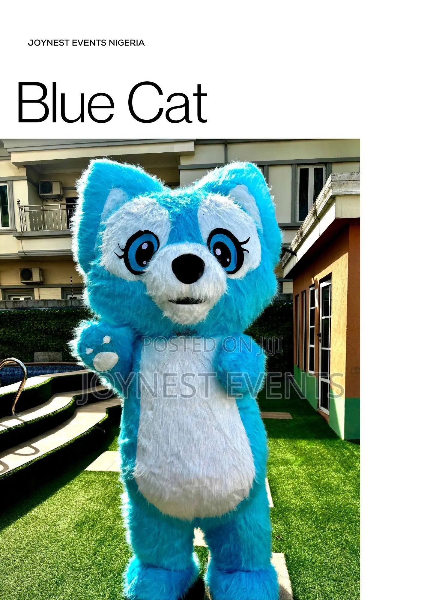Event Planning and Party Mascot
