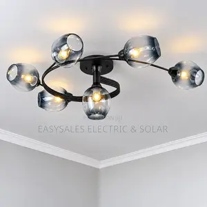 Nordic Designer Glass Ceiling Chandelier