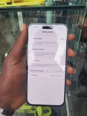 Apple iPhone 15 Pro Max 512 GB Gray