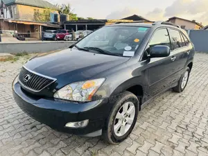 Lexus RX 350 4x4 2009 Gray