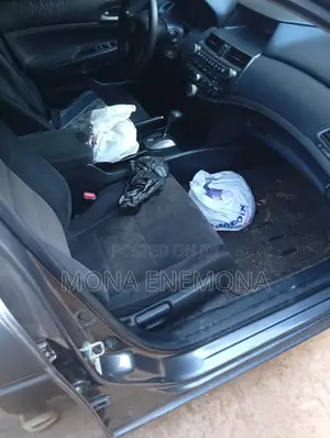 Honda Accord 2010 Gray