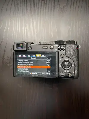 Sony A6600