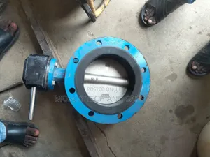 Dn200 Gear-Operated Butterfly Valve (8")