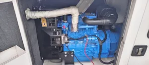 20kva Fgwilson Perkins Uk Generator