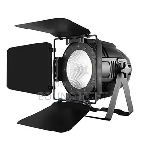 200w Cob Led Light