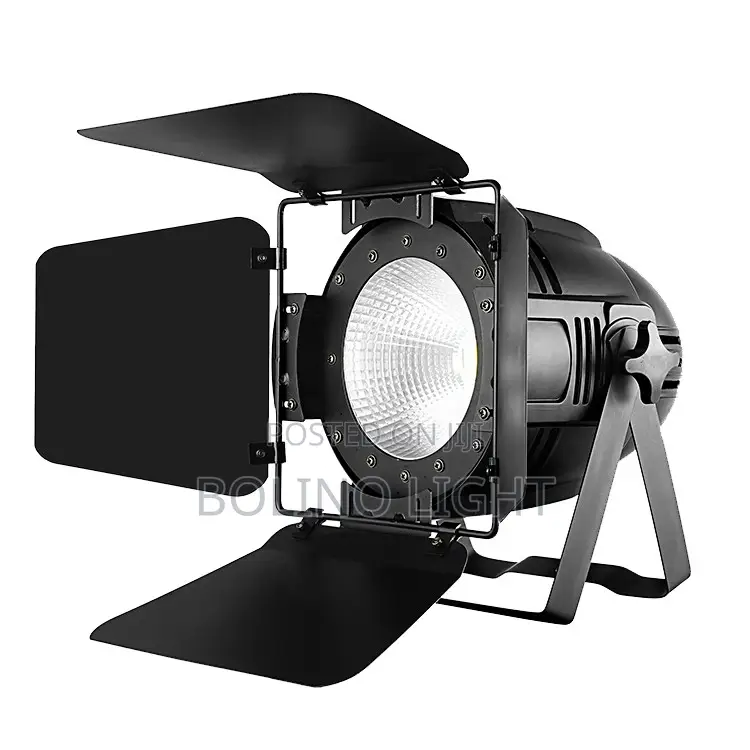 200w Cob Led Light