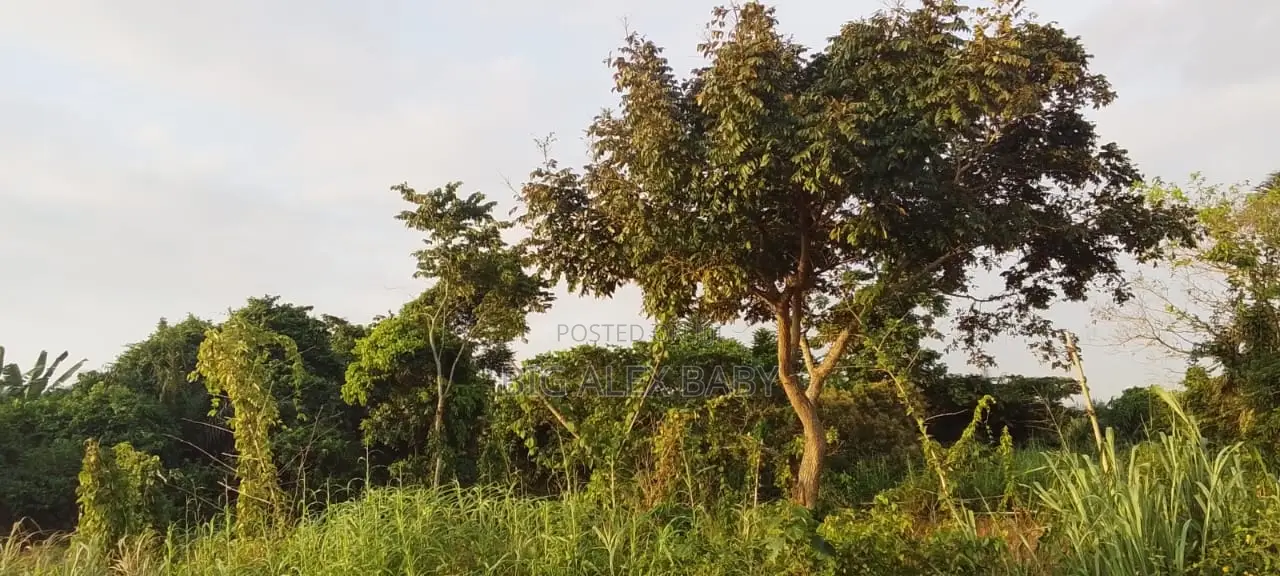 Landed Property
