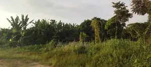 Landed Property