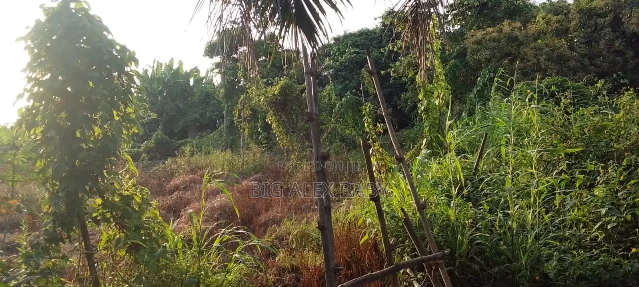 Landed Property