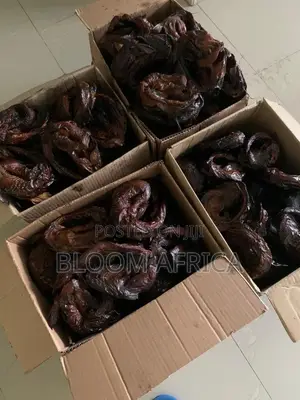 Premium Cat Fish and Mackerel