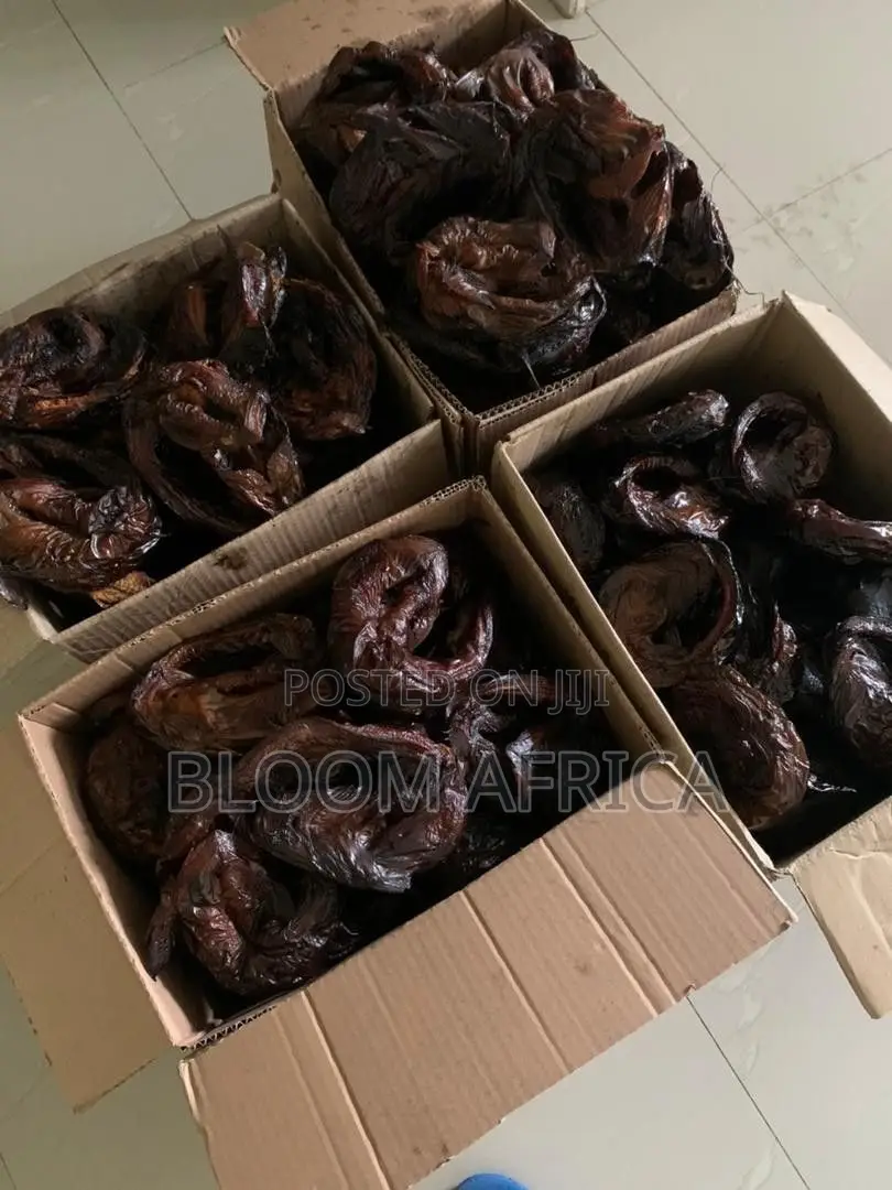 Premium Cat Fish and Mackerel