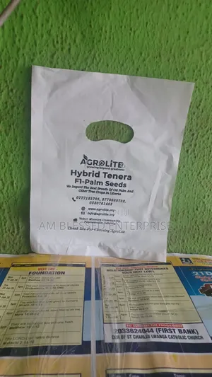 Custom Small Poly Nylon Bag Print