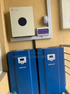 Professional Solar and Inverter Installer