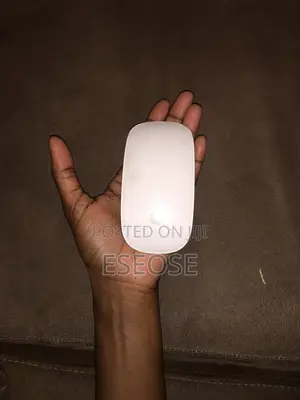 Apple Mouse