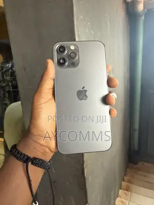 Apple iPhone 12 Pro Max 128 GB Gray