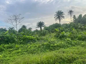 Over 10plots of Land for Sell
