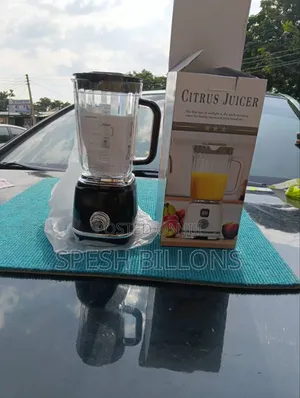 Heavy Crusher Big Size Rechargeable Blender