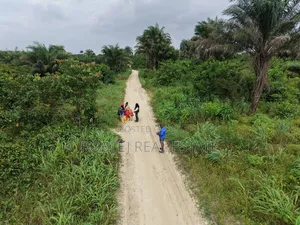  Dongo Village — Invest Ahead of Development! 