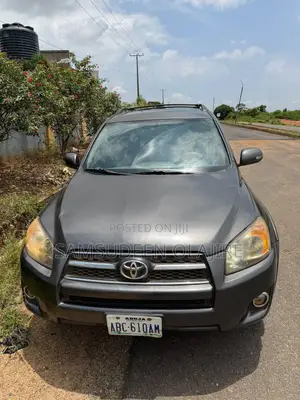 Toyota RAV4 2.5 Limited 2010 Brown