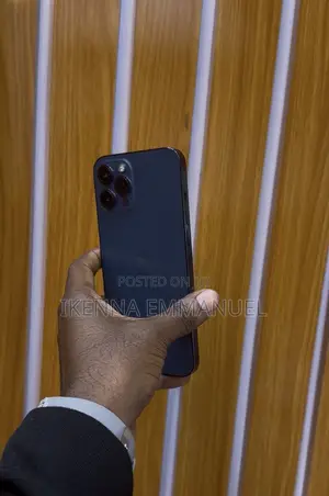 Apple iPhone 12 Pro Max 256 GB Blue