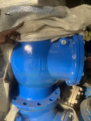 Cast Iron Non Return Valve