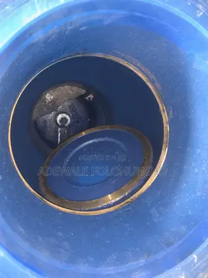 Cast Iron Non Return Valve