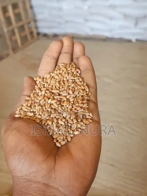We Sell Pure Wheat