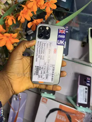 Apple iPhone 12 Pro 256 GB Graphite