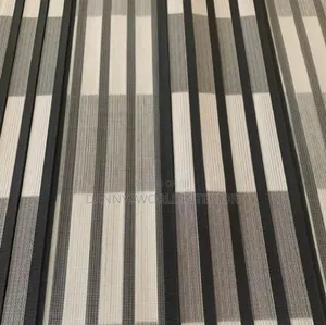 Day and Night Window Blinds