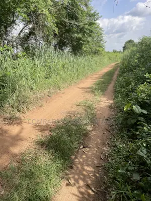 Acres and Hectares of Land