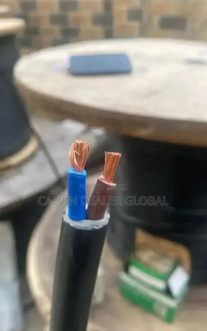4mm 2core Flexible Wire