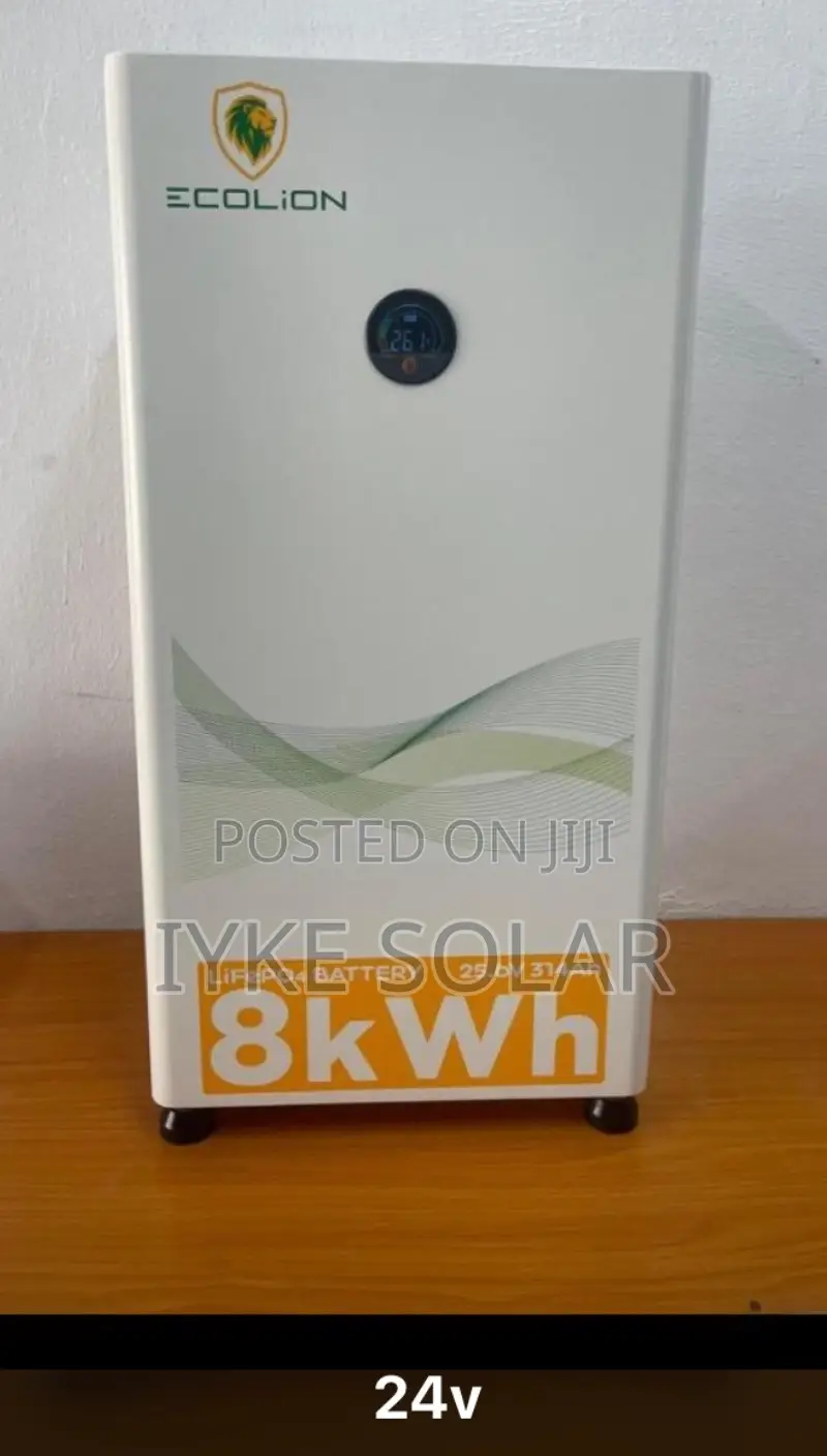 8kwh 24v Ecolion Lithium Ion Battery