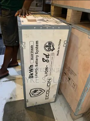 8kwh 24v Ecolion Lithium Ion Battery