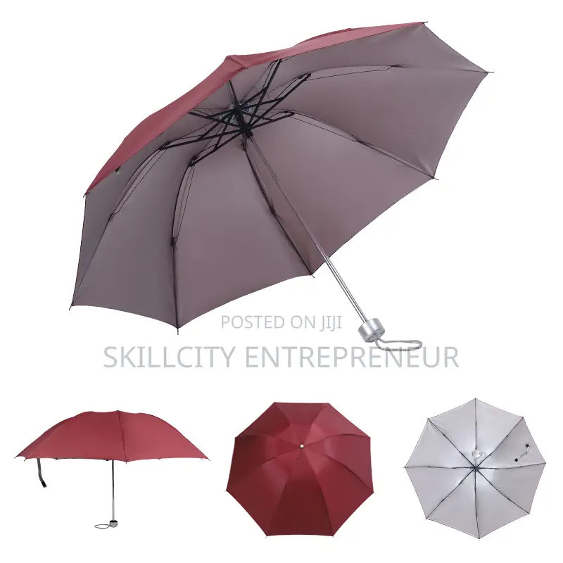 Silver Pocket Umbrella